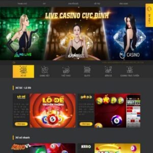 Google/Facebook/Tiktok/Twitter/网盟广告 开户运营交流
